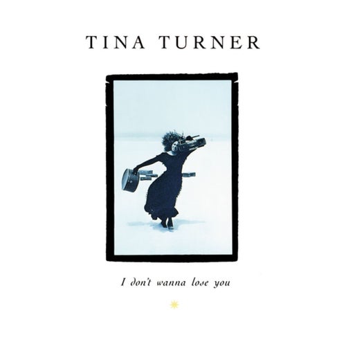 I Don't Wanna Lose You (The Singles)