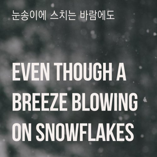 Even Though a Breeze Blowing on Snowflakes Guitar