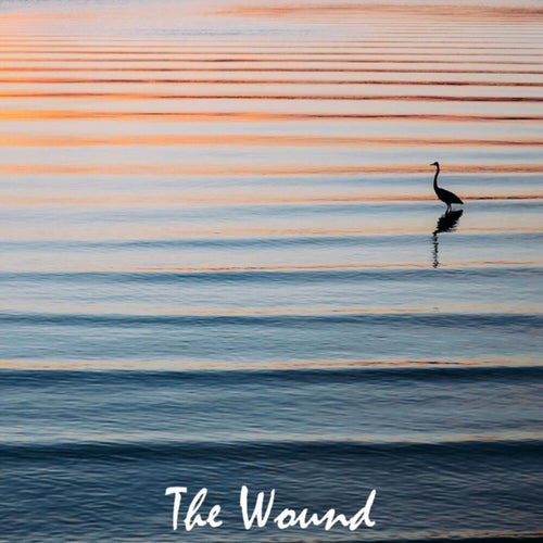 The Wound
