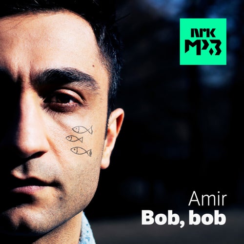 Bob, bob