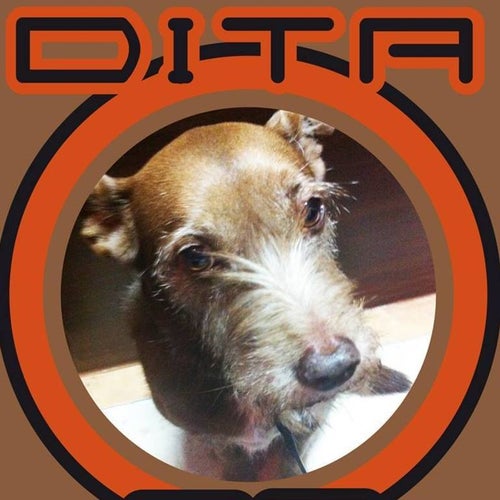 Dita Profile