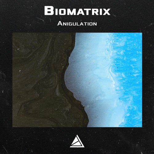 Anigulation