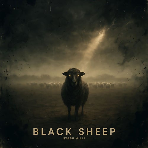 Black Sheep