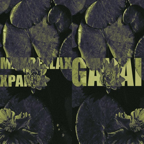 GAVAI
