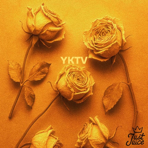 You Know The Vibes