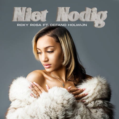 Niet Nodig (feat. Defano Holwijn)