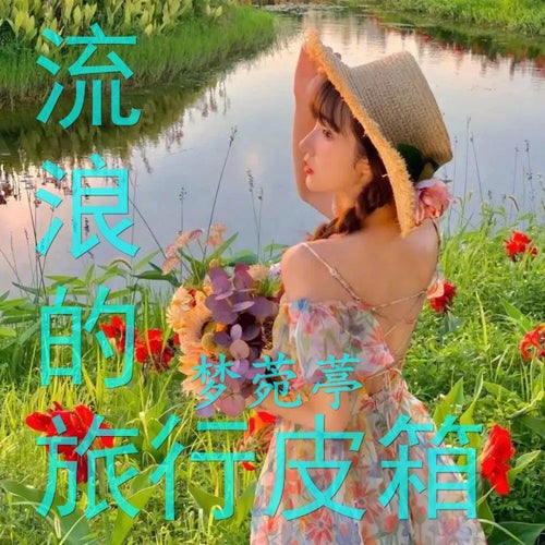 流浪的旅行皮箱