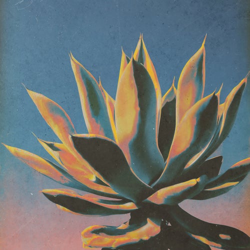 mezcal haze