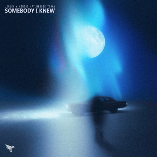 Somebody I Knew