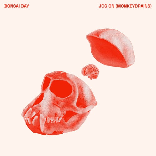 Jog On (Monkeybrains)