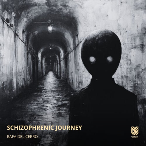 Schizophrenic Journey