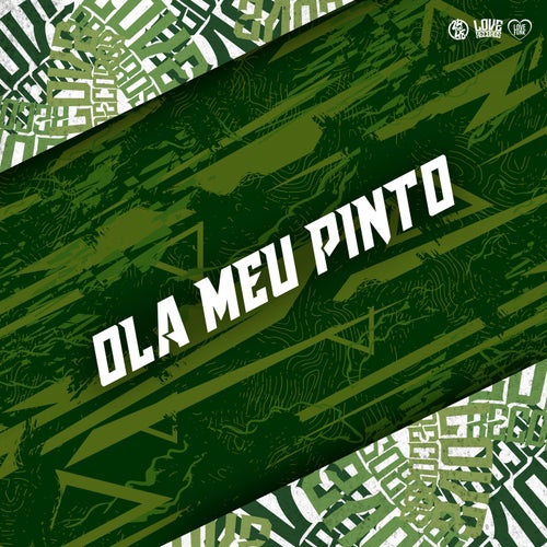 Ola Meu Pinto