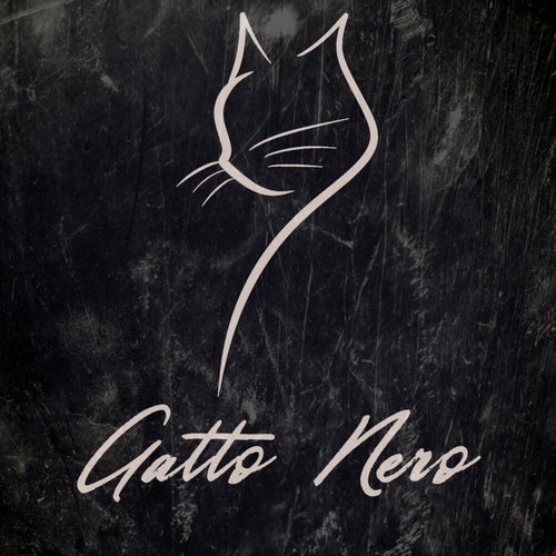 Gatto nero