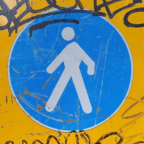 WHEN THE LOSET FLEW AWAY