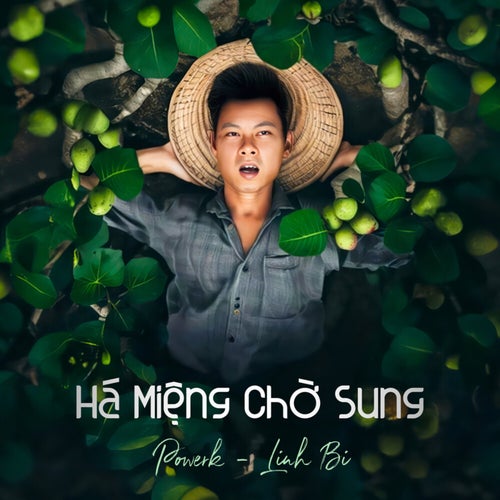 Há Miệng Chờ Sung