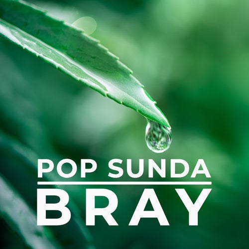 Pop Sunda Bray