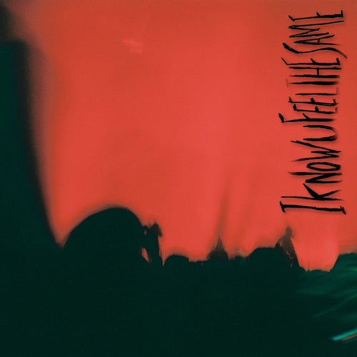 Release of the week