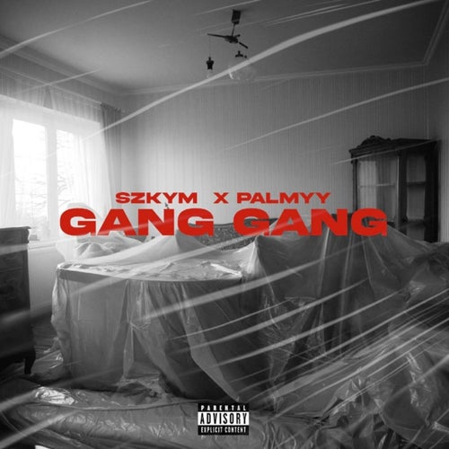 Gang Gang (feat. Palmyy)
