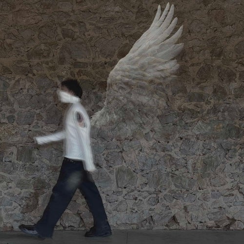 Golden Wings Plastic Sky