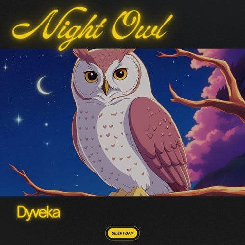 Night Owl