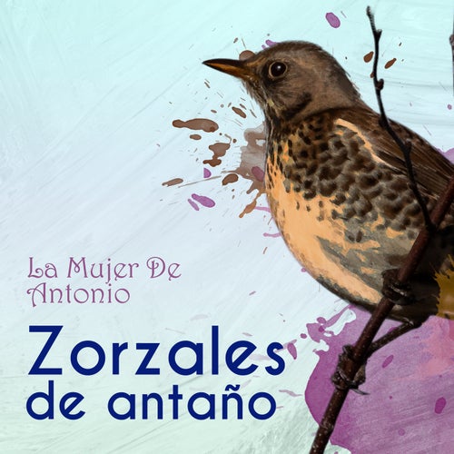 Zorzales de Antaño…La Mujer De Antonio