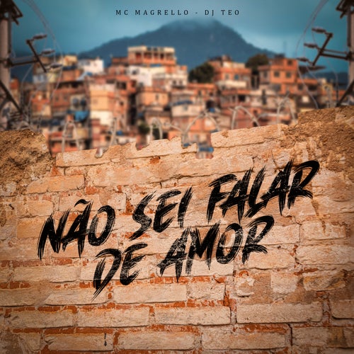 Não Sei Falar de Amor