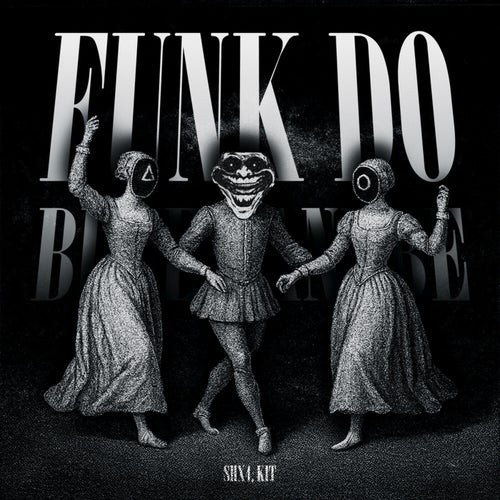 FUNK DO BLUE DANUBE