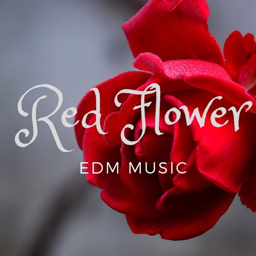 Red Flower Edm Music