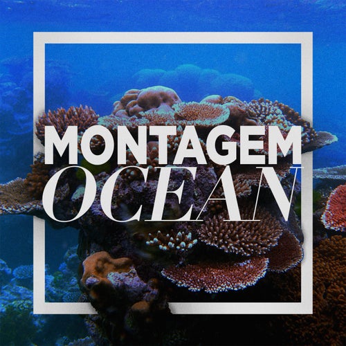 MONTAGEM OCEAN (Slowed)