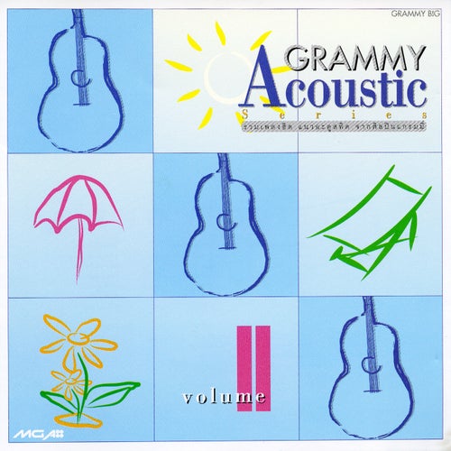 Grammy Acoustic Series, Vol. 2