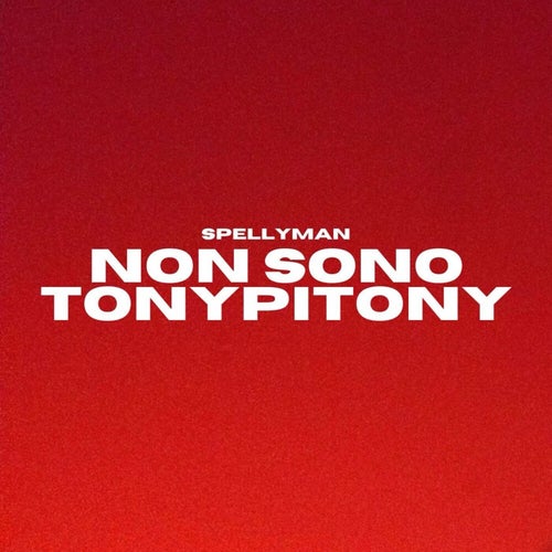 NON SONO TONYPITONY