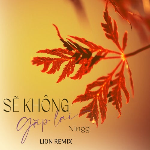 Sẽ Không Gặp Lại (Lion Remix)