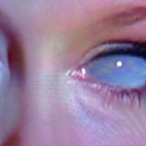 iseeghosts! [waitaminute]