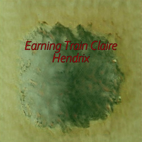 Earning Train