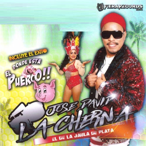 Donde Esta El Puerco