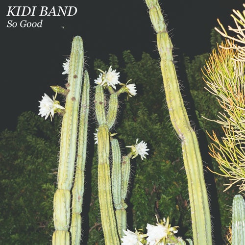 Treehouse Kid