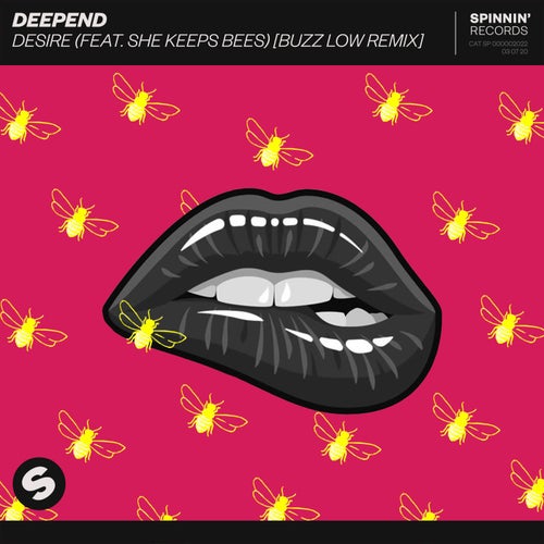 Desire (feat. She Keeps Bees) (Buzz Low Extended Remix)