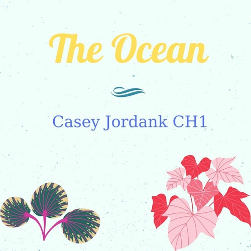 The Ocean