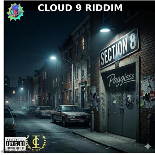 Paggiss- Section 8