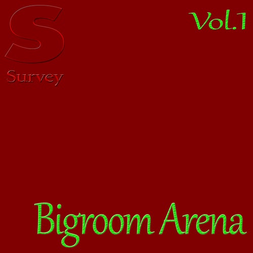 Bigroom Arena, Vol.1