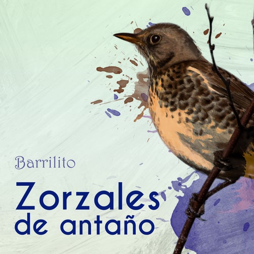 Zorzales de Antaño… Barrilito