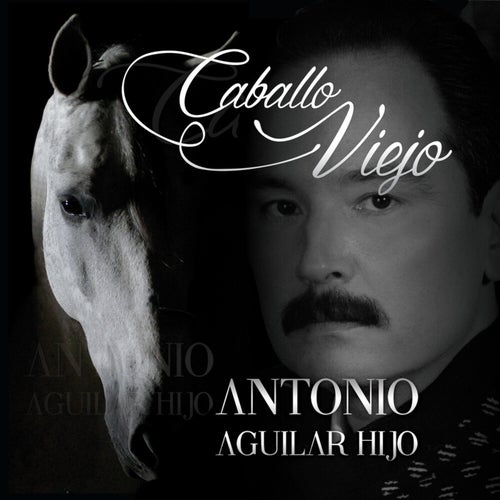 Caballo Viejo