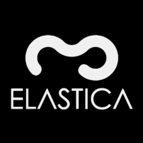 Elastica Profile