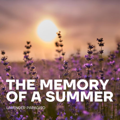 The Memory of a Summer