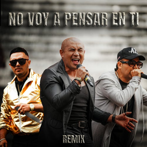 No Voy A Pensar En Ti (Remix)