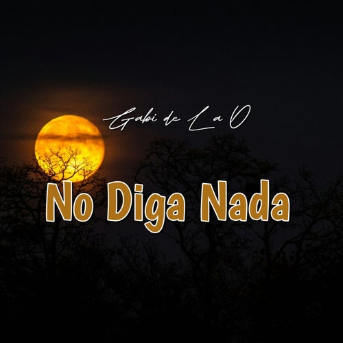 NO DIGA NADA