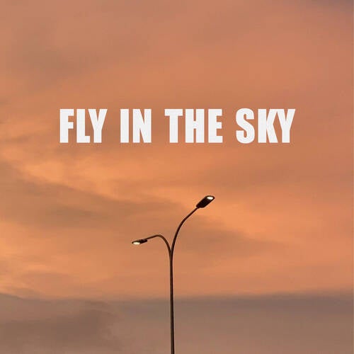 Fly in the Sky