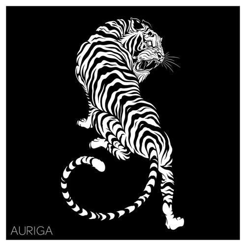 Auriga