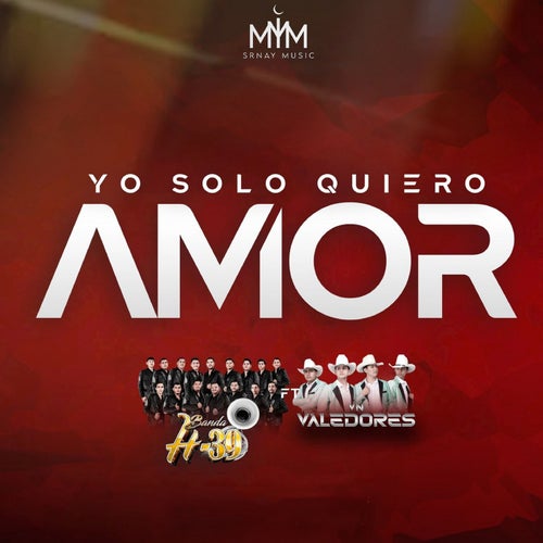 Yo Solo Quiero Amor