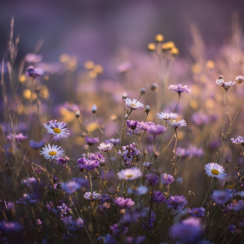 The Sound of Silence